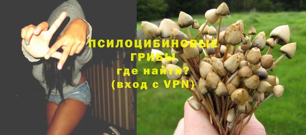 крисы Медногорск