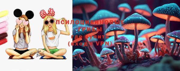 синтетический гашиш Медвежьегорск