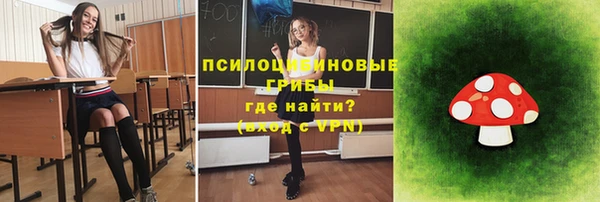 синтетический гашиш Медвежьегорск