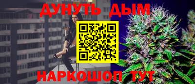стафф Гай