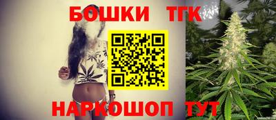 тгк Гатчина