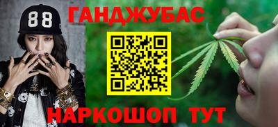 стафф Гай