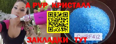 стафф Гай
