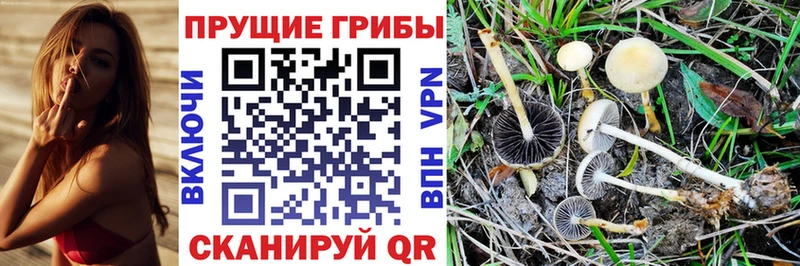 Псилоцибиновые грибы Psilocybe  ОМГ ОМГ зеркало  Каменск-Уральский 